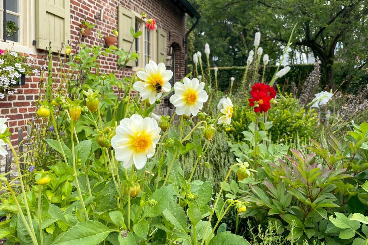 B&B De Paenhoeve Eksel Eksteriør billede